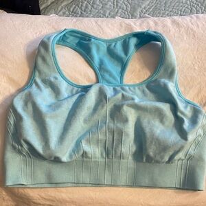 Champion Light Blue Racerback Sports Bra
